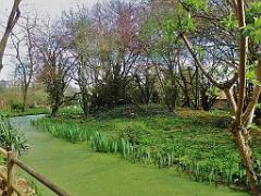 149 BIO PARC DE DOUE LA FONTAINE 7- 2016_000043